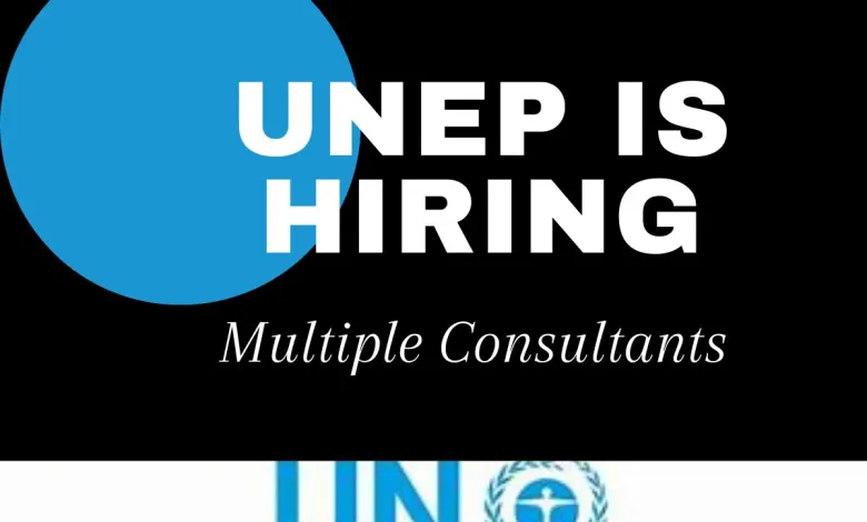 unep is hiring